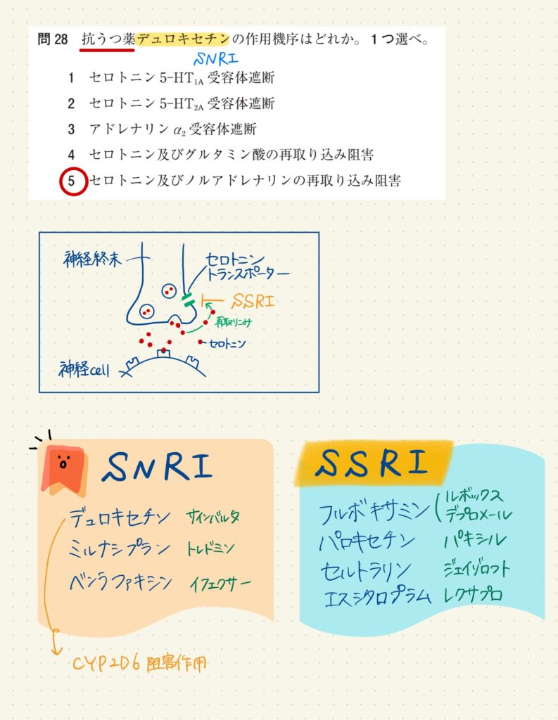 第108回薬剤師国家試験問43